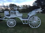 The Silver