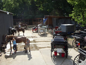 Barnyard